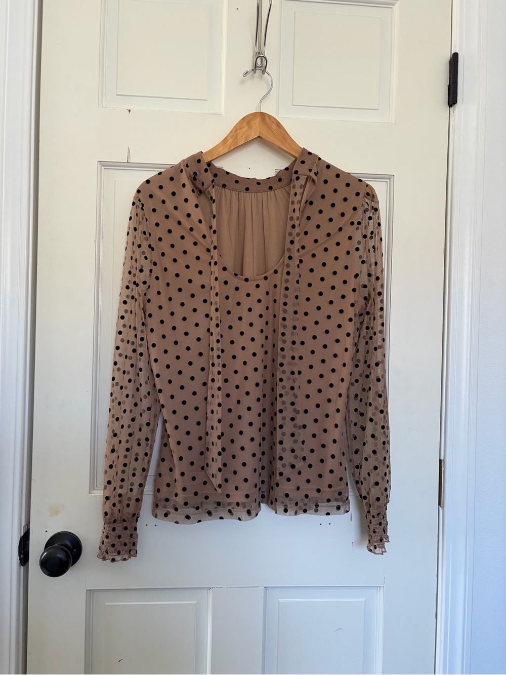 DR2 Light Brown Sheer Polka Dot Tie-Neck Blouse